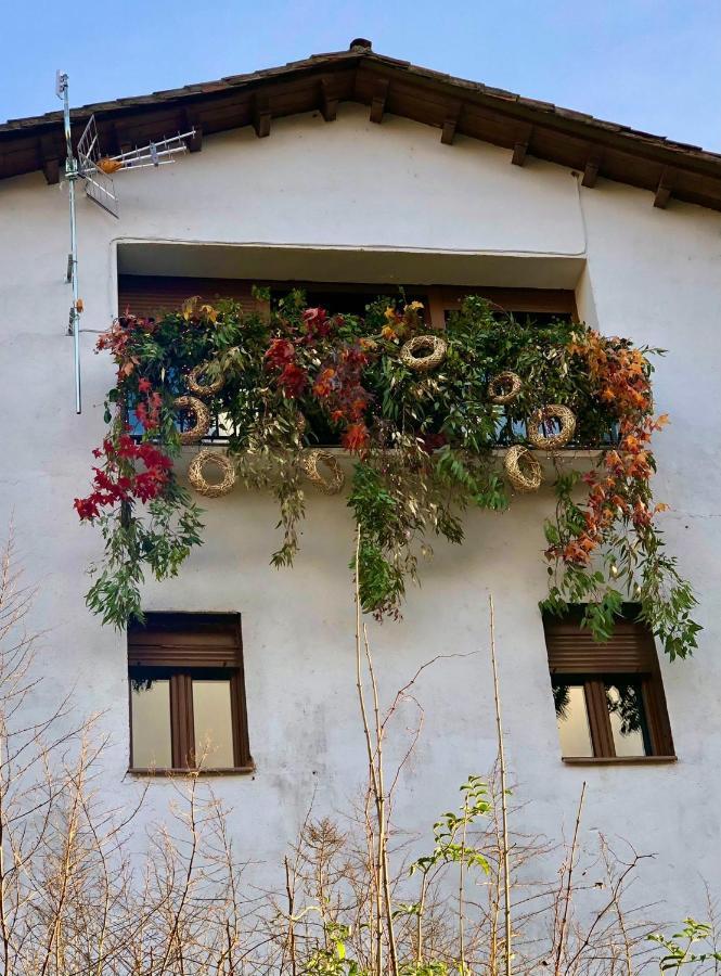 Apartamentos En El Valle Del Jerte Flores Para Angela Cabezuela Del Valle Εξωτερικό φωτογραφία